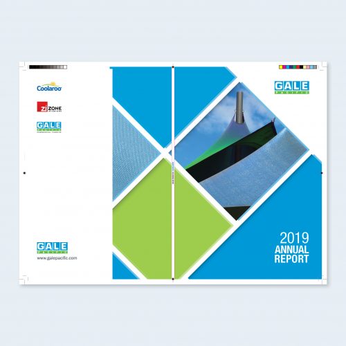 Corporate Annual Report Cover Artwork